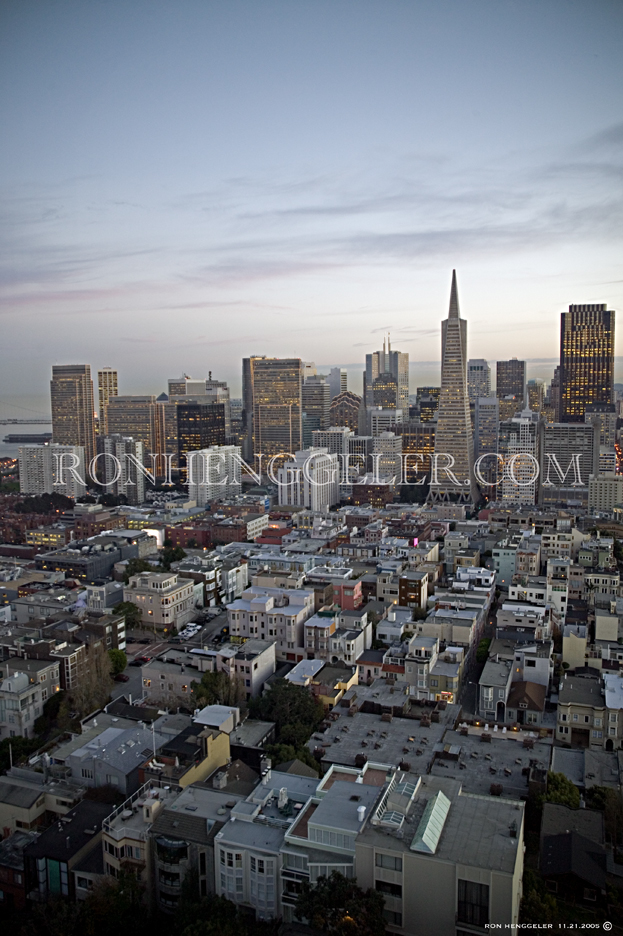 View of San Francisco's downtown from Coit Tower